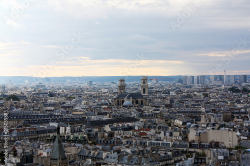 View of Paris from a height. France. 