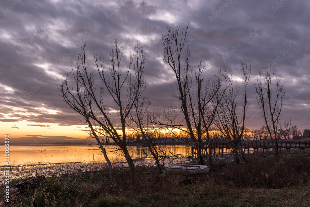 Moody lake shore at sunset, with sun light reflecting on water, and skeletal trees