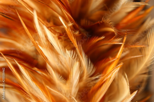 blur feather vertical wallpaper