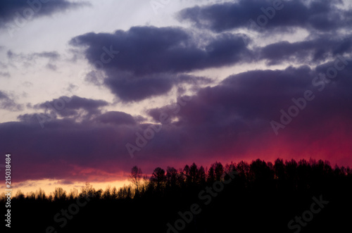 Summer colorful sunset.