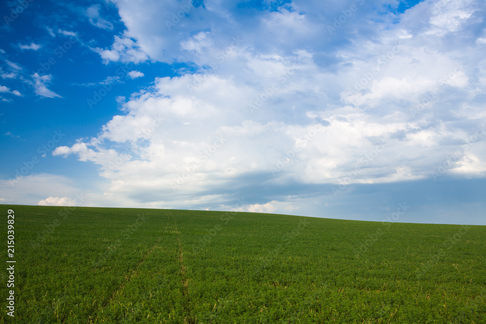 On the empty meadow at sunset,Czech Republic On the empty meadow at sunset,Czech Republic