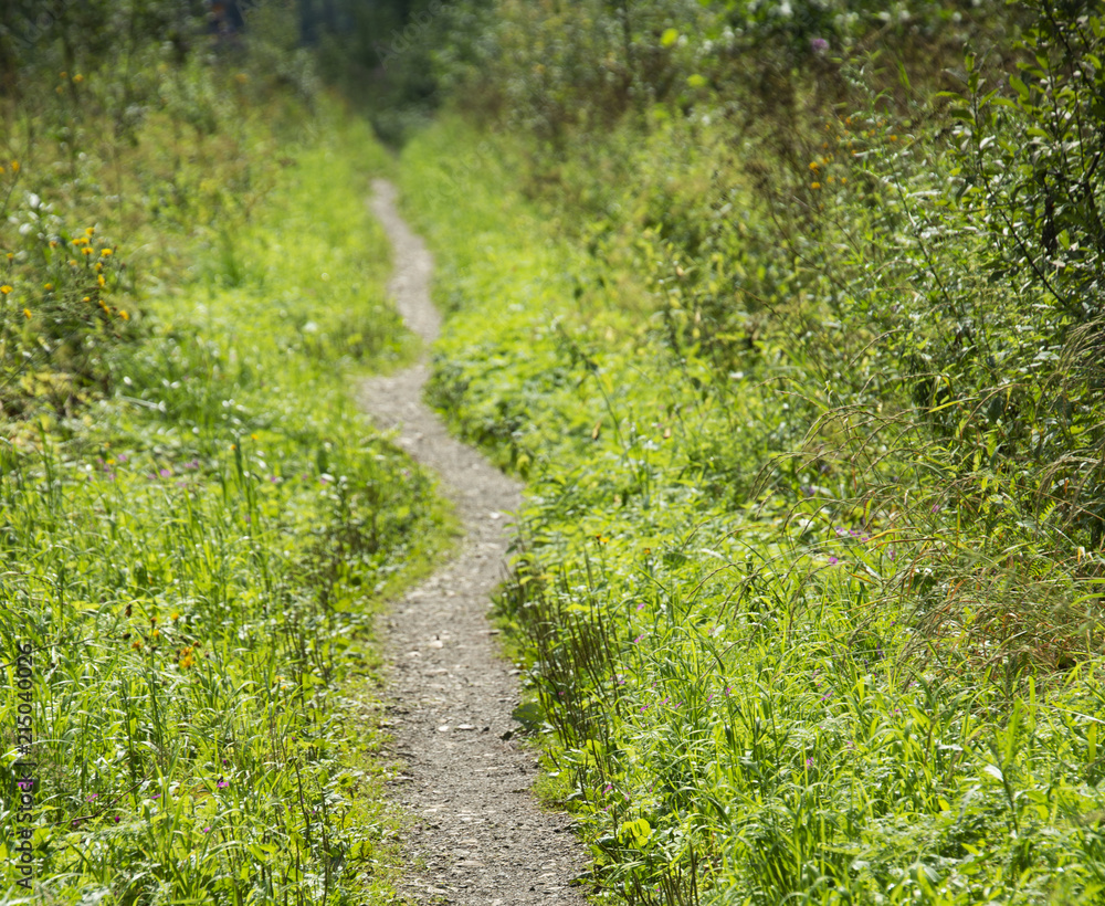 Obraz premium ABSTRACTION - ways and roads