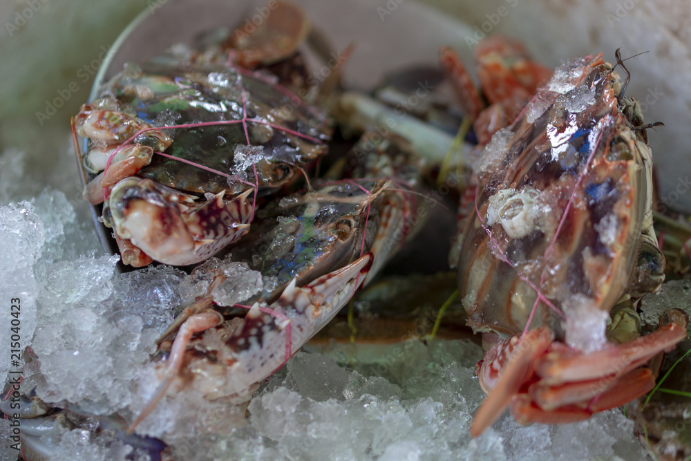 Image of crabs sold in the market, Thailand Image of crabs sold in the market, Thailand