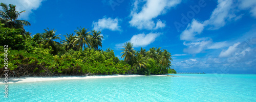tropical beach in Maldives © Pakhnyushchyy