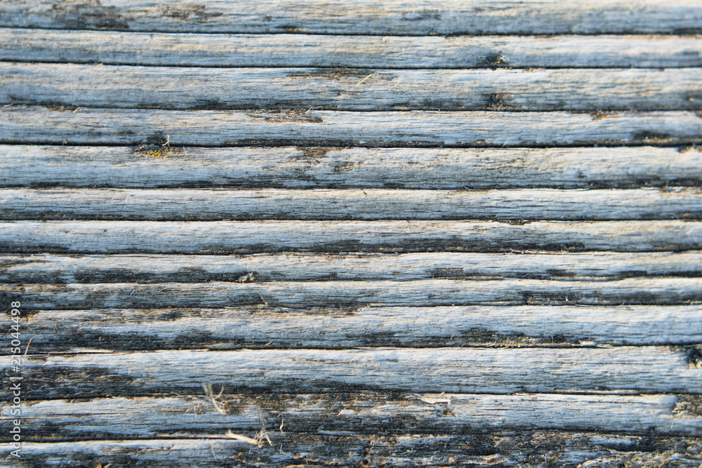 Grey old weathered wooden board texture and background macro view. Grey old weathered wooden board texture and background macro view.