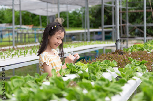 Asian cute girl is learning to grow organic vegetables in the farm