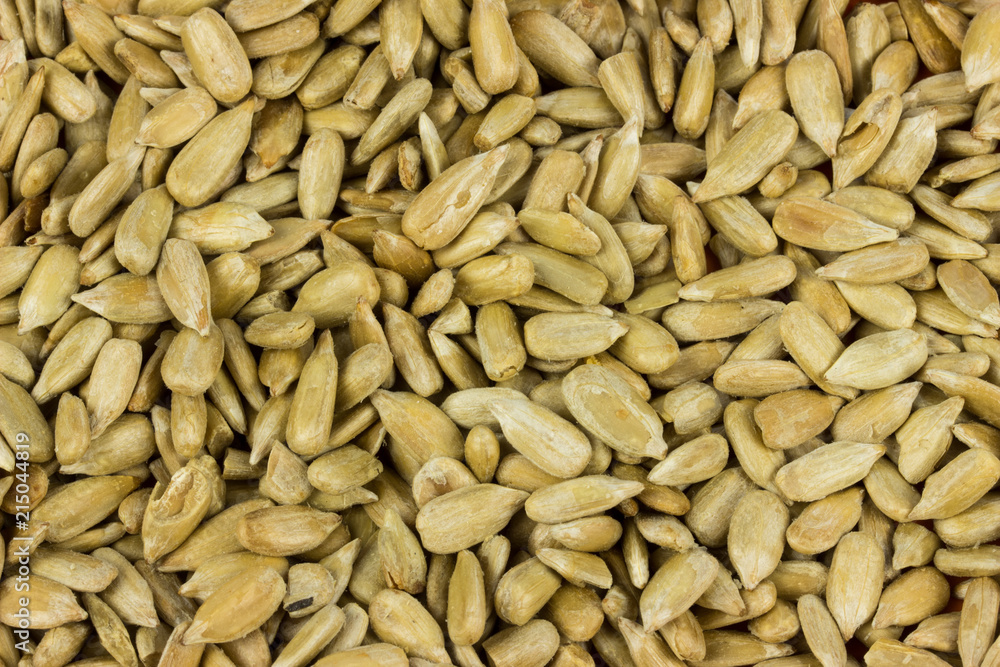 sunflower nuts. Salty food background texture sunflower nuts. Salty food background texture