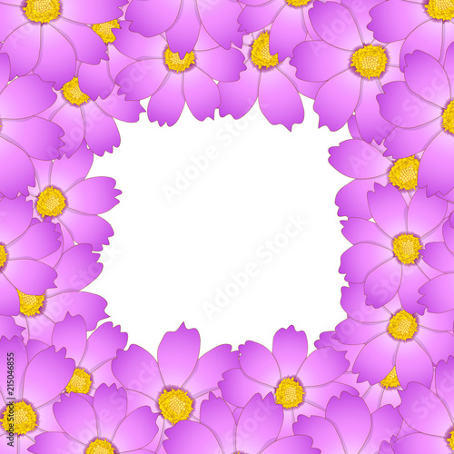 Pink Cosmos Flower Border