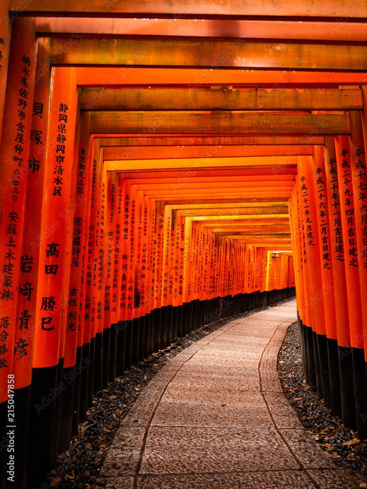 Fototapeta premium Torii tunnel of Fushimi inari