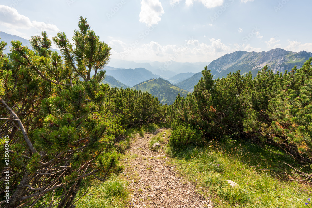 Fototapeta premium Kaiserbachtal Weg zum Stripsenjochhaus