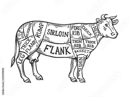 Meat diagram cow engraving vector