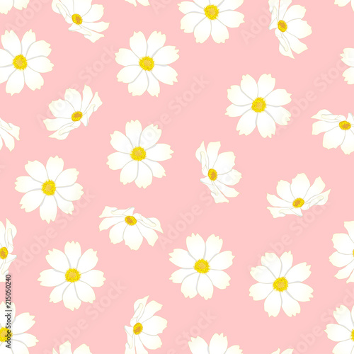 White Cosmos Flower on Pink Background