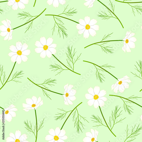 White Cosmos Flower on Gree...