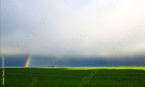 a natural background with bright colorful rainbow in the distance on the hori...