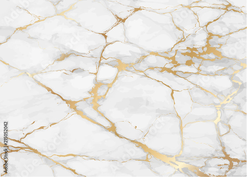 Luxury Marble background with gold pattern texture vector.