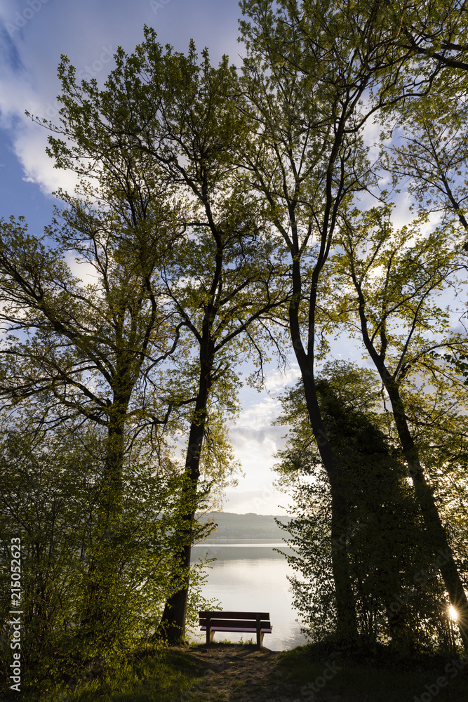 A bench is illuminated by the morning sun at Lake Sempach. Tall trees frame the bench in Switzerland A bench is illuminated by the morning sun at Lake Sempach. Tall trees frame the bench in Switzerland