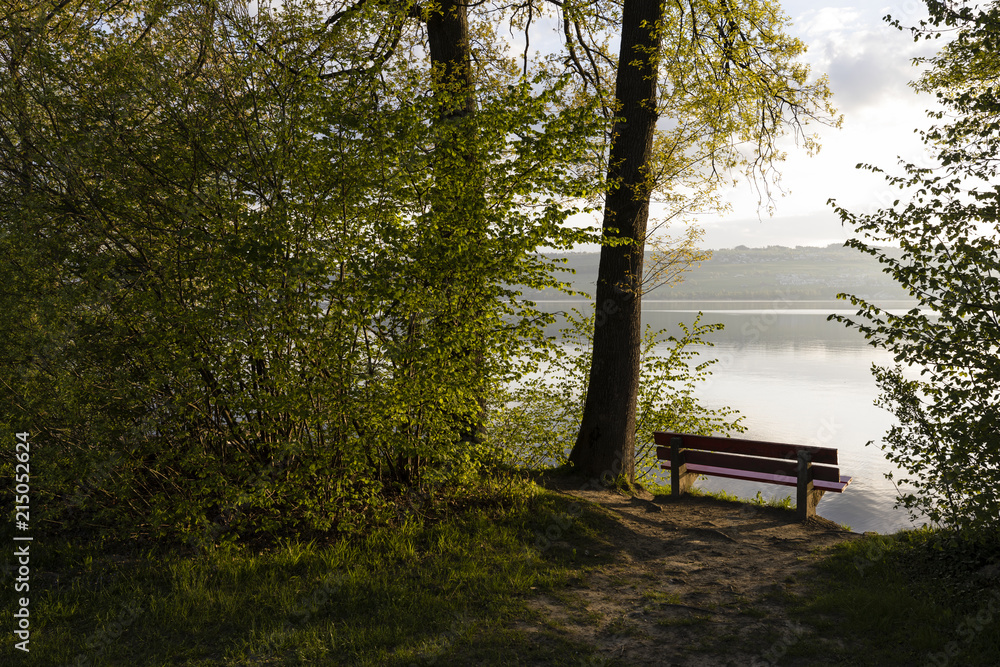 A bench is illuminated by the morning sun on Lake Sempach in Switzerland A bench is illuminated by the morning sun on Lake Sempach in Switzerland