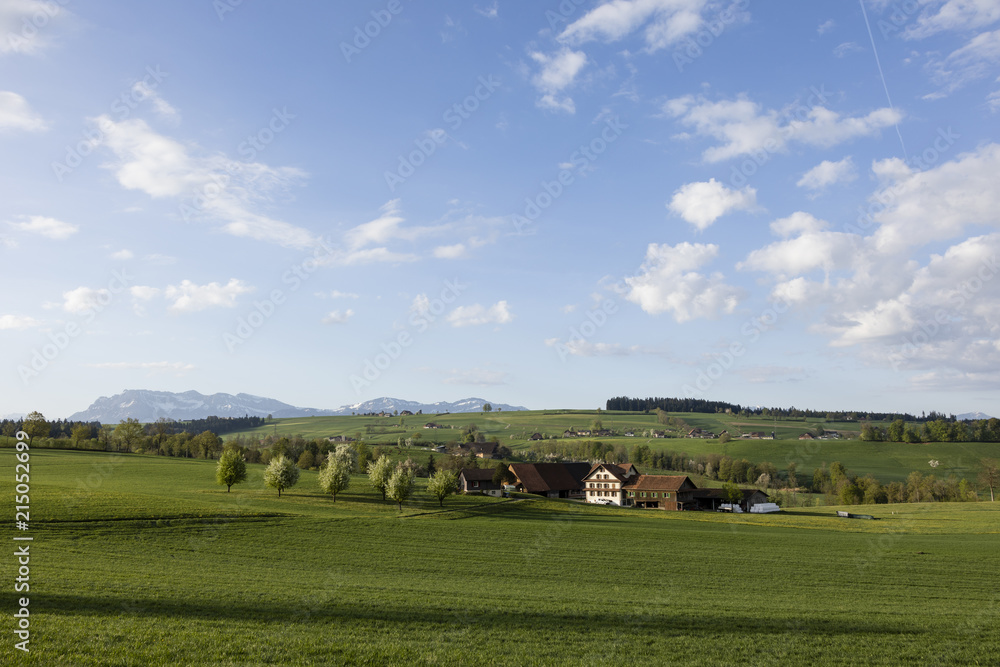 Obraz premium Farm in central Switzerland on a sunny spring day near Nottwil. In the background Mount Pilatus