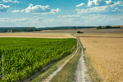 Long country road through fields and white clouds in the sky