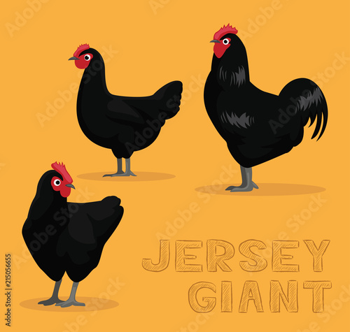 Chicken Jersey Giant Cartoon Vector Illustration