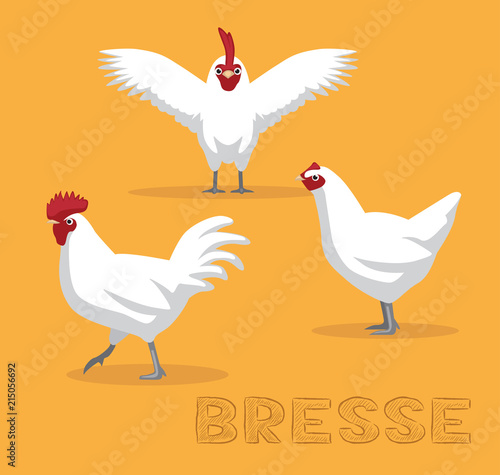 Chicken Bresse Cartoon Vector Illustration