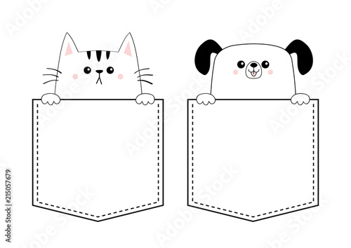 Dog cat kitten puppy set in the pocket holding paw hands. Doodle contour linear sketch. Cute cartoon animals. Dash line. Pet animal. White and black color. T-shirt design. Baby background. Flat