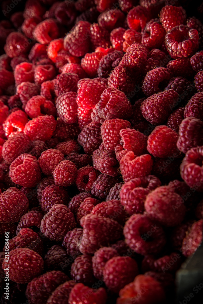 Red raspberries close-up / Heap of fresh ripe red raspberries Red raspberries close-up / Heap of fresh ripe red raspberries