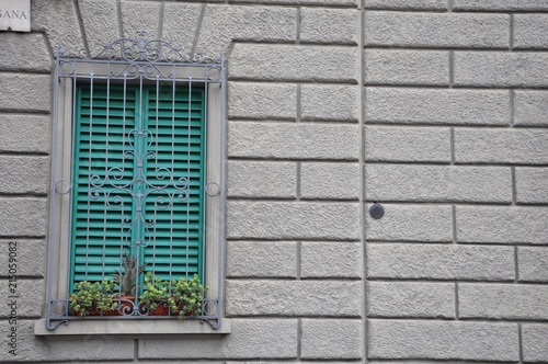 Yellow window sills and green plants on a brick building wall