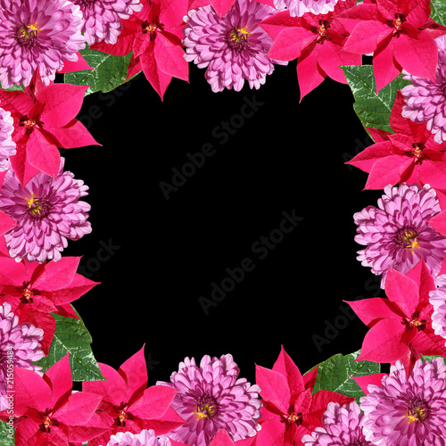Beautiful floral background of Christmas stars and chrysanthemums 