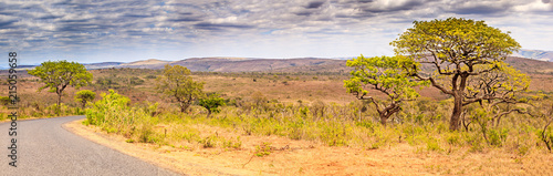 The landscape of the Hluhluwe-umfolozi game park, Kwa-zulu natal, South Africa. photo