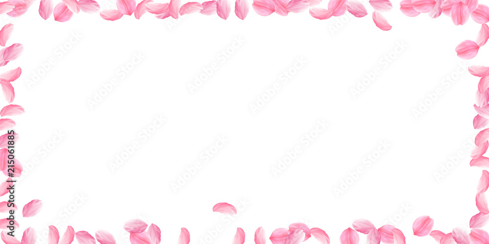 Sakura petals falling down. Romantic pink bright big flowers. Thick flying cherry petals. Wide frame