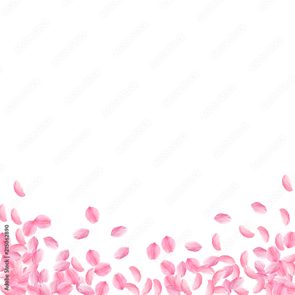 Sakura petals falling down. Romantic pink bright medium flowers. Thick flying cherry petals. Square Sakura petals falling down. Romantic pink bright medium flowers. Thick flying cherry petals. Square
