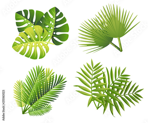 Set of tropical green leaves. Flat style palm leaf. Exotic plants icon. Vector illustration isolated on white background