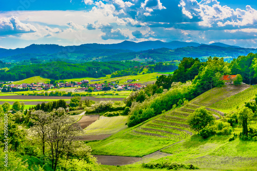 Zagorje countryside Croatia.   Scenic view at springtime in Croatia  Zagorje region field. 