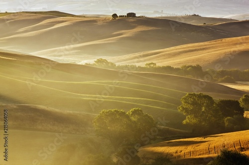 Typical Tuscan landscape near San Quirico d'Orcia, Val d'Orcia region, early morning mist, Tuscany, Italy, Europe