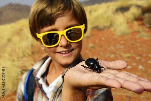 Boy holds a black beetle in the hand, Namib Desert beetle (Onymacris unguicularis), Namib Rand Nature Reserve, Namib Naukluft Park, Namibia, Africa photo