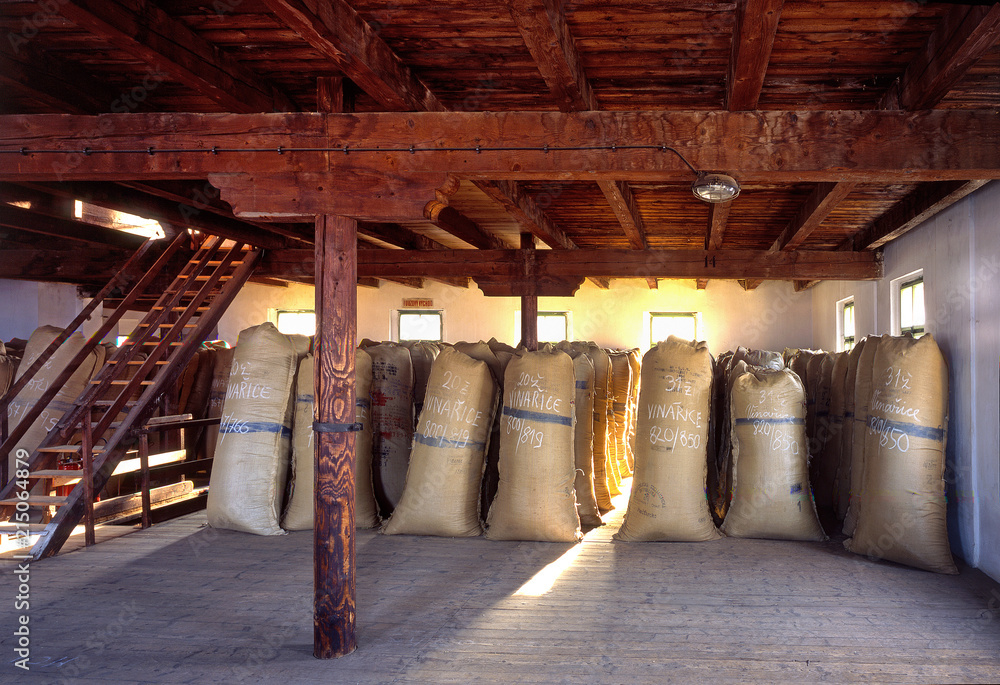 ZATEC TOWN, CZECH REPUBLIC - August 25, 2017: Sacks of hops in historical storehouse in Zatec town. ZATEC TOWN, CZECH REPUBLIC - August 25, 2017: Sacks of hops in historical storehouse in Zatec town.