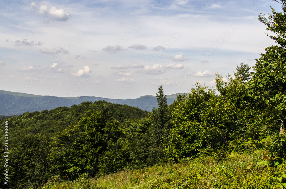 Fototapeta premium panorama Bieszczady połoniny