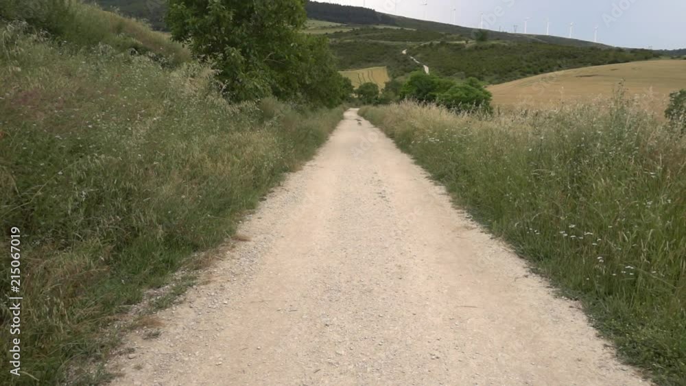 Camino de Santiago through Navarre Camino de Santiago through Navarre