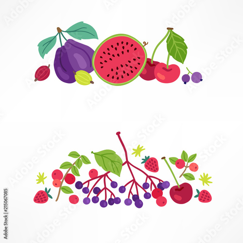 Fruit and berry compositions with plum, watermelon, cherry, gooseberry, elderberry