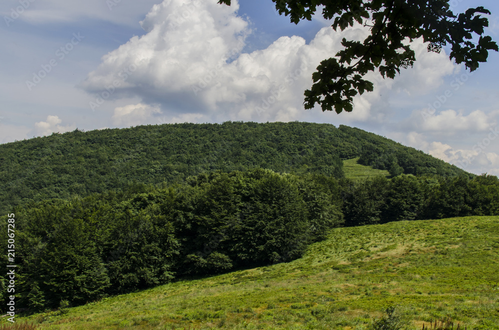 Fototapeta premium panorama Bieszczady połoniny