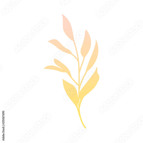 Autumn plant branch with yellow leaves - seasonal natural object for floral design in flat style. Decorative fall element isolated on white background in vector illustration.