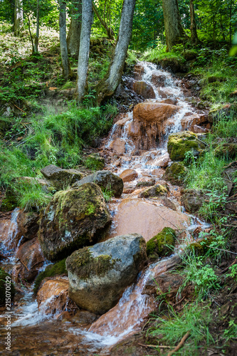 Obraz na plátně Water cascade on moss stones