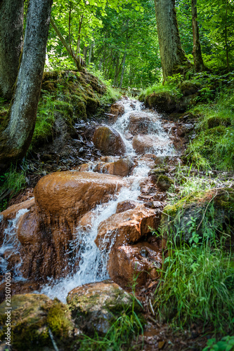 Fotografie Waterfall cascade on moss stones