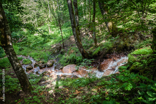 Waterfall in the ravine. Creek turns into waterfall. Falling water from David s Mill Waterfall in Gauja national park. Latvia. Soft focus.