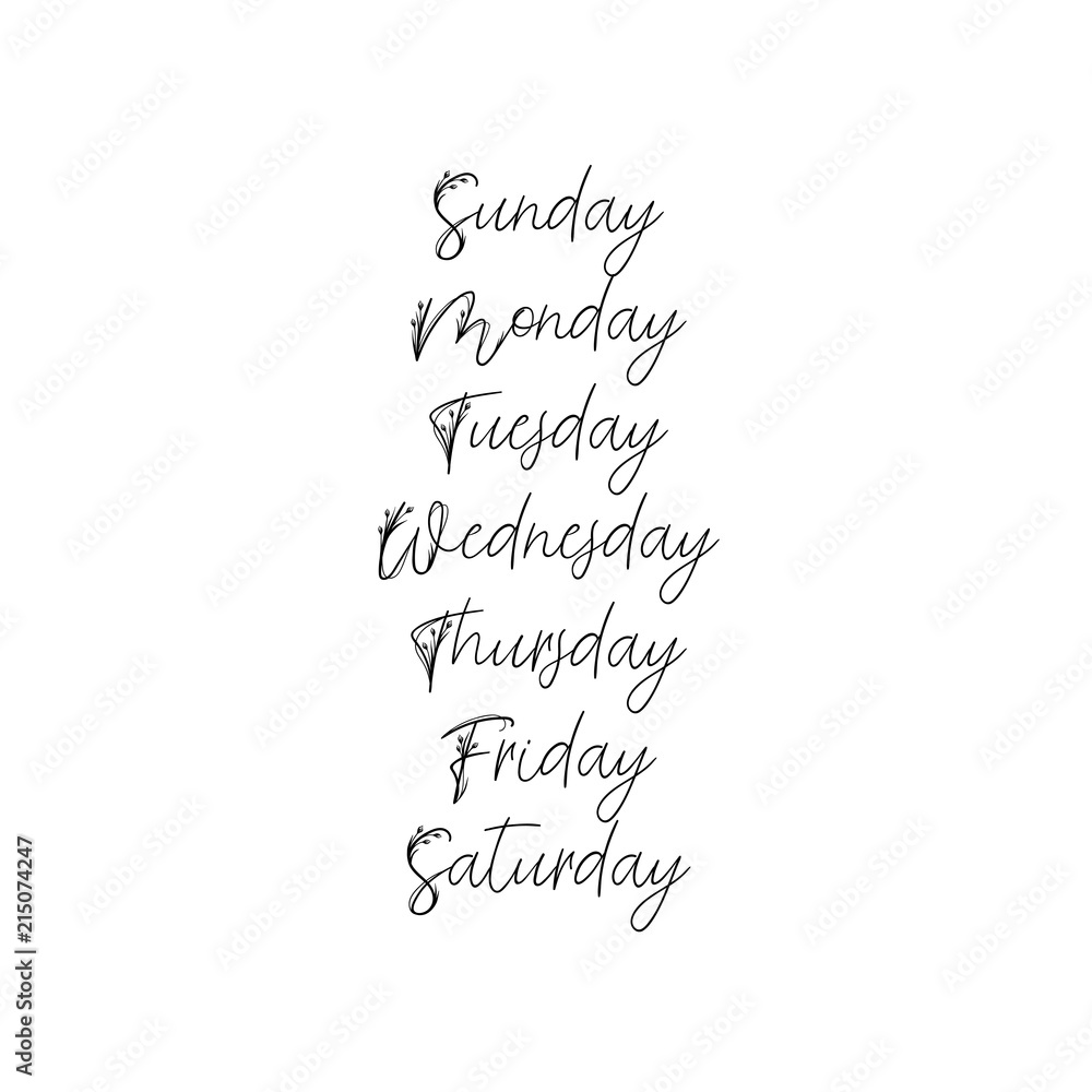 Handwritten Days of Week. Sunday, Monday, Tuesday, Wednesday, Thursday,  Friday, Saturday. Modern Calligraphy. Isolated on White Background. Hand  lettering calendar 3554598 Vector Art at Vecteezy