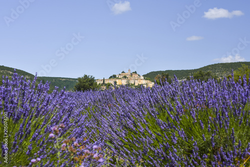 view to village Banon with lavender flowers  Provence  France  department Alpes-de-Haute-Provence