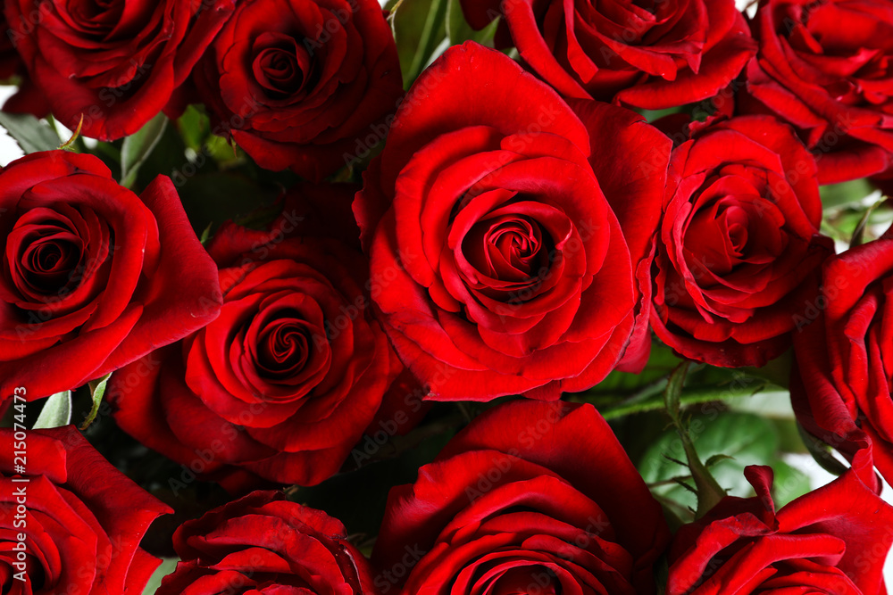Beautiful red rose flowers as background, closeup Beautiful red rose flowers as background, closeup