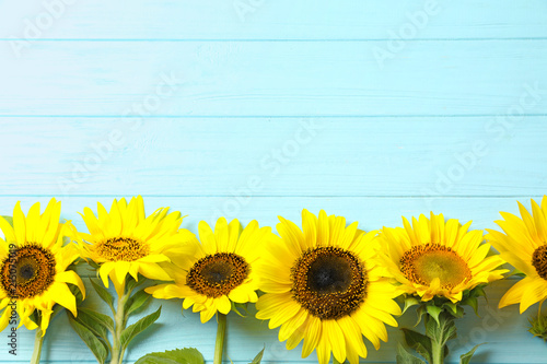 Fototapeta Naklejka Na Ścianę i Meble -  Yellow sunflowers on wooden background, top view