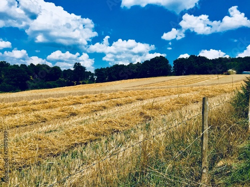 Farm work